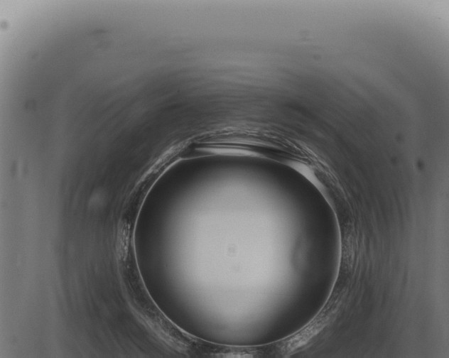 X0000086330168200704091147