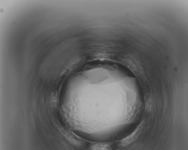X0000086330179200704091147