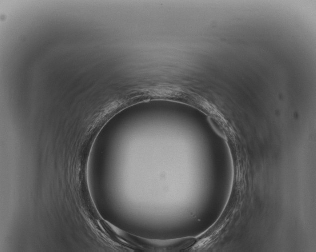 X0000086330201200704091147