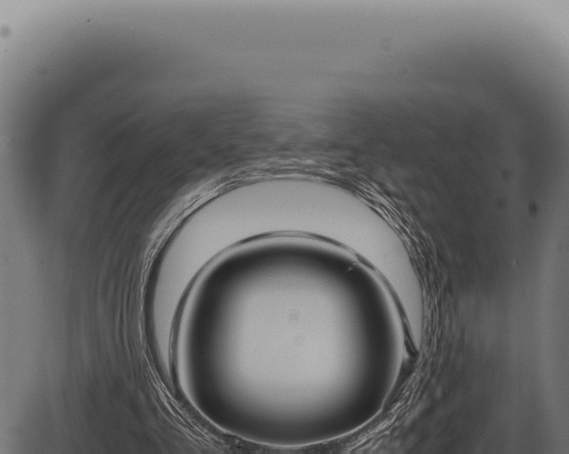 X0000086330293200704091145