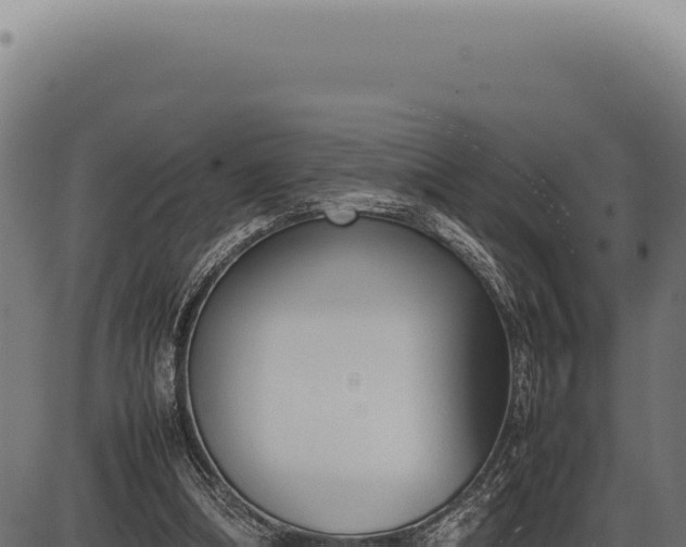 X0000086330298200704091145