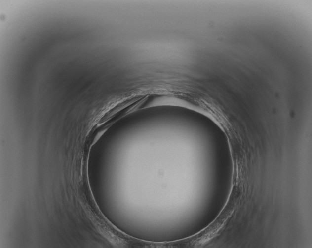 X0000086330301200704091145