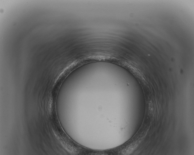 X0000086330304200704091145