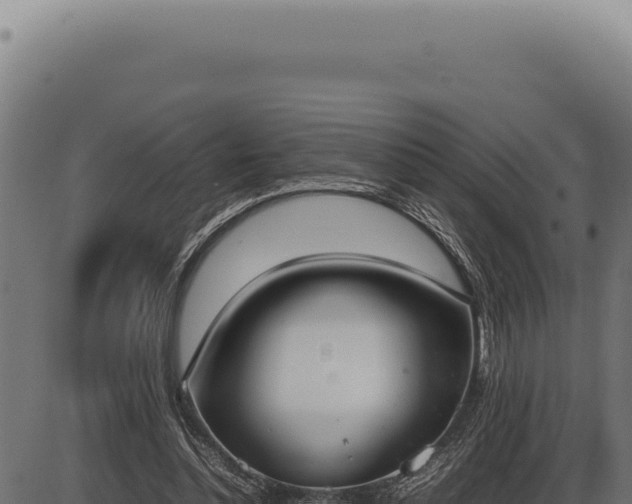 X0000086330348200704091144