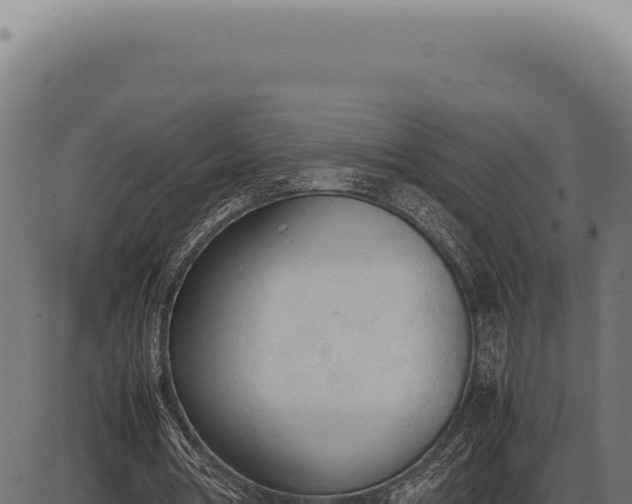 X0000086330386200704091144