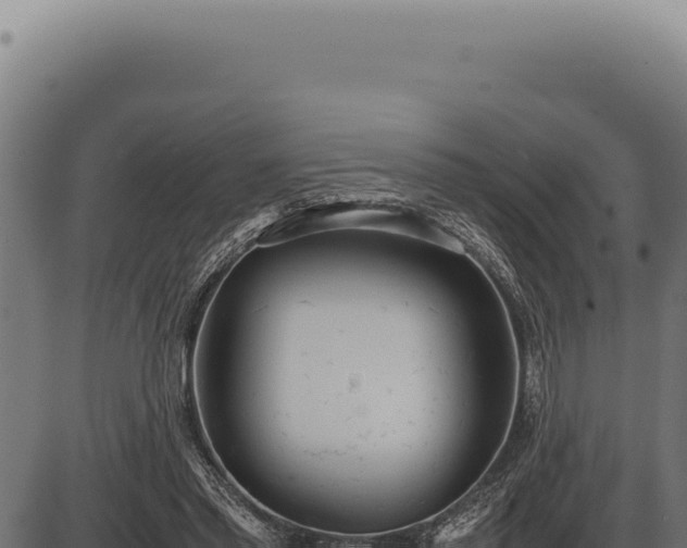 X0000086330397200704091143
