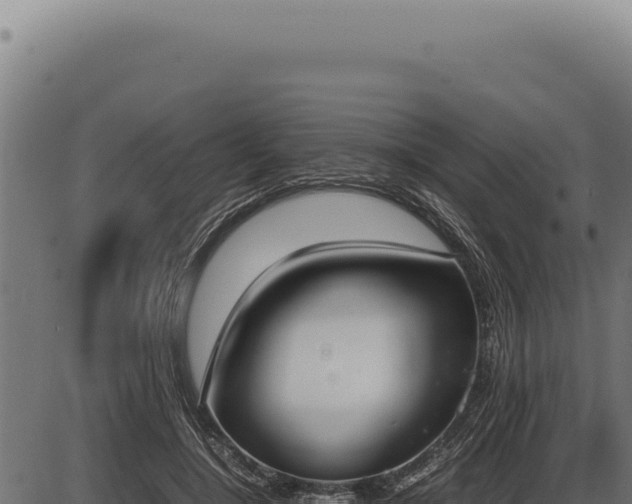 X0000086330548200704091141
