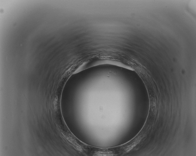 X0000086330556200704091141