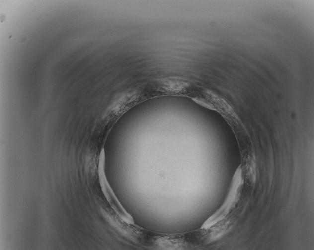X0000086330568200704091141