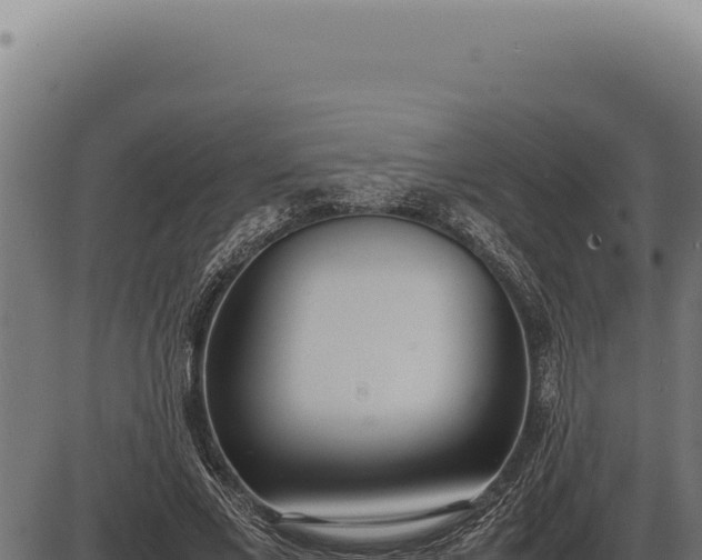 X0000086330685200704091139