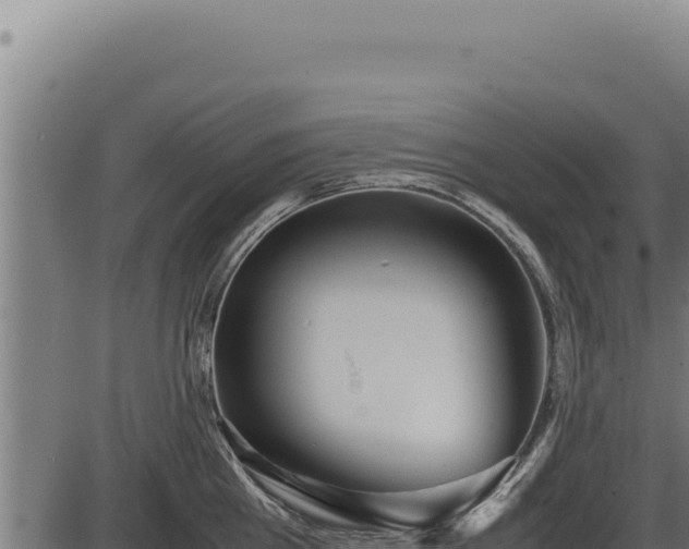 X0000086330809200704091137