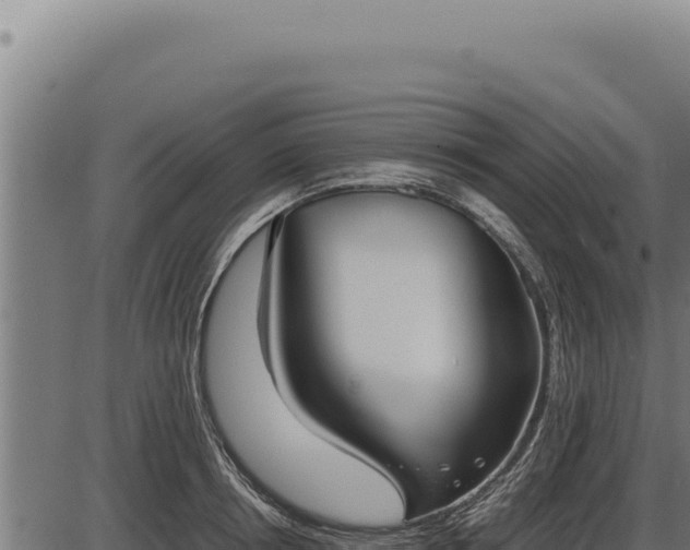 X0000086330850200704091136