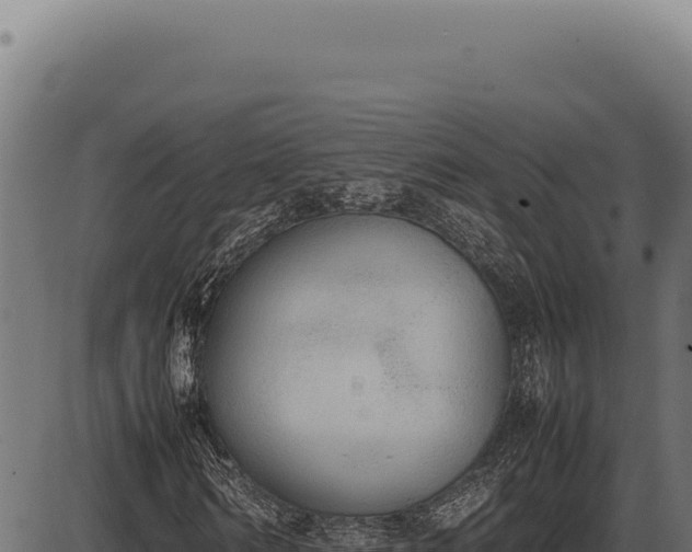 X0000086330962200704091134