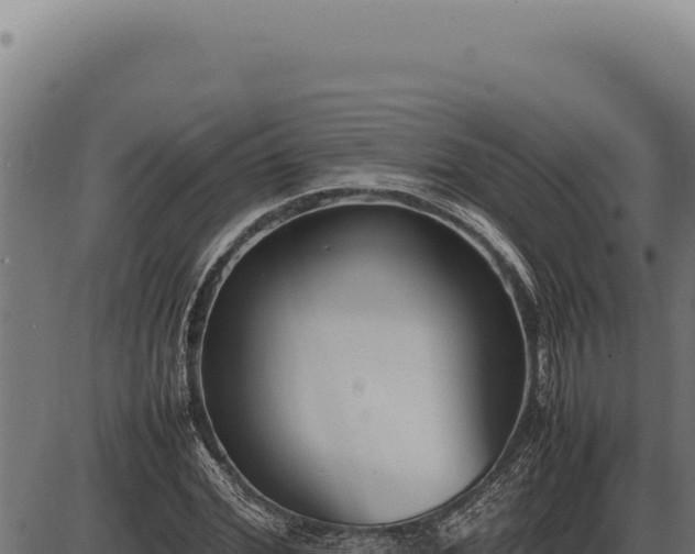 X0000086330972200704091134