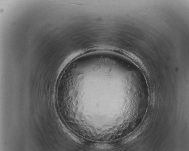 X0000086331231200704091130