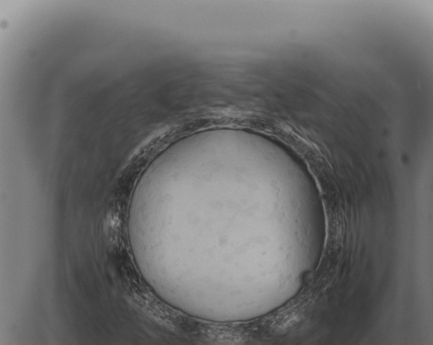 X0000086331254200704091129