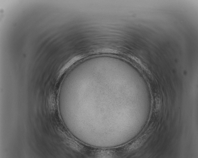 X0000086331266200704091129