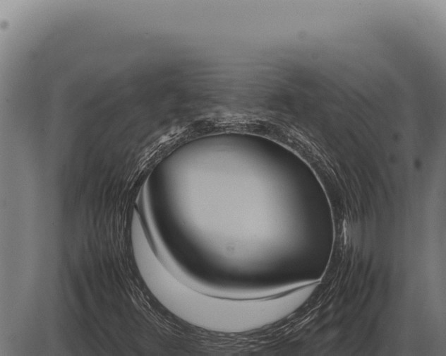 X0000086331348200704091128