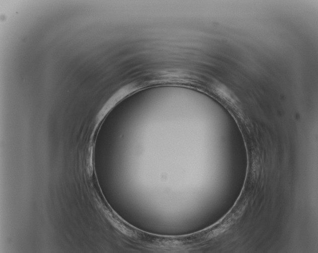 X0000086331370200704091127