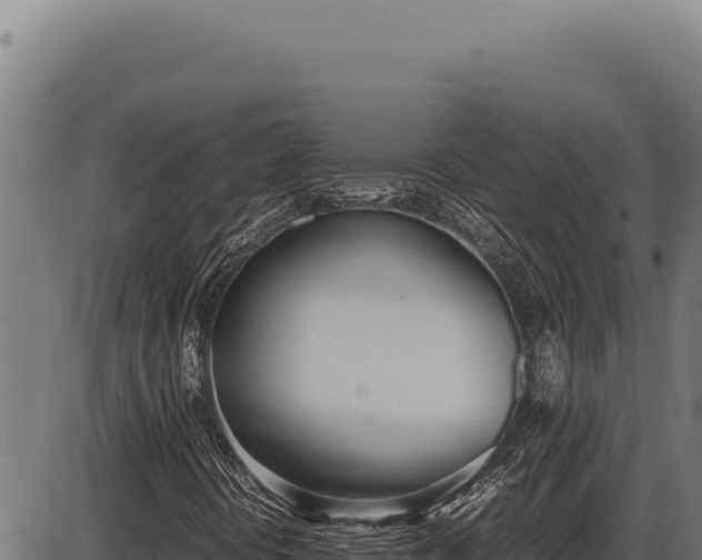 X0000086331394200704091126