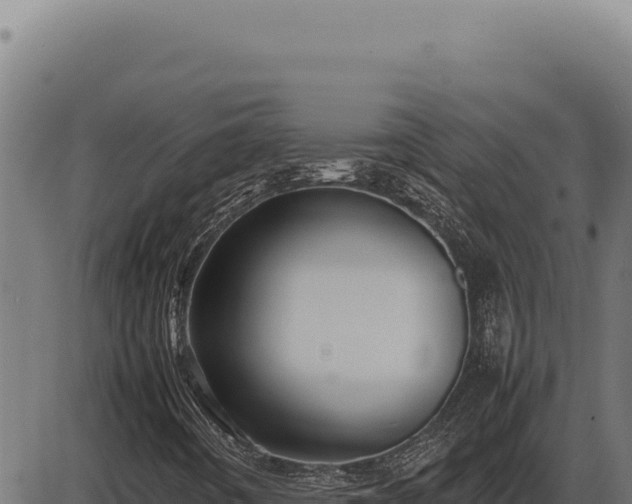 X0000086331442200704091126