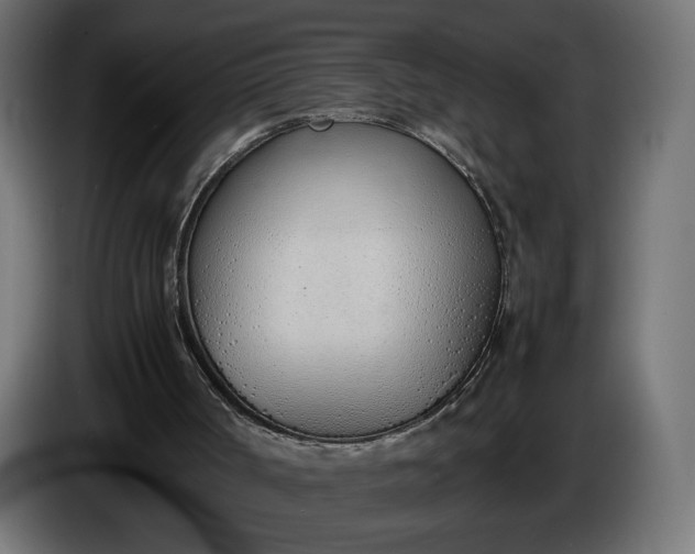 X0000086330002200704131731