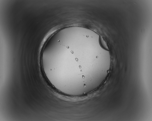 X0000086330006200704131731