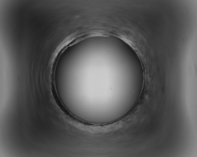 X0000086330007200704131731