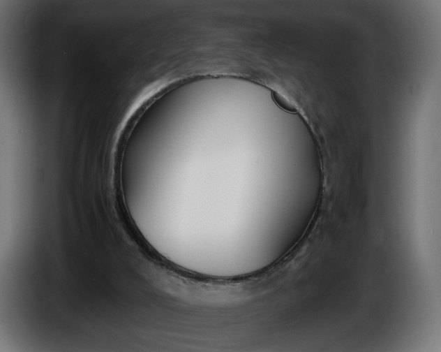 X0000086330008200704131731