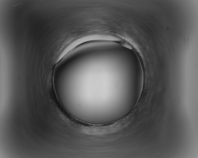 X0000086330009200704131731