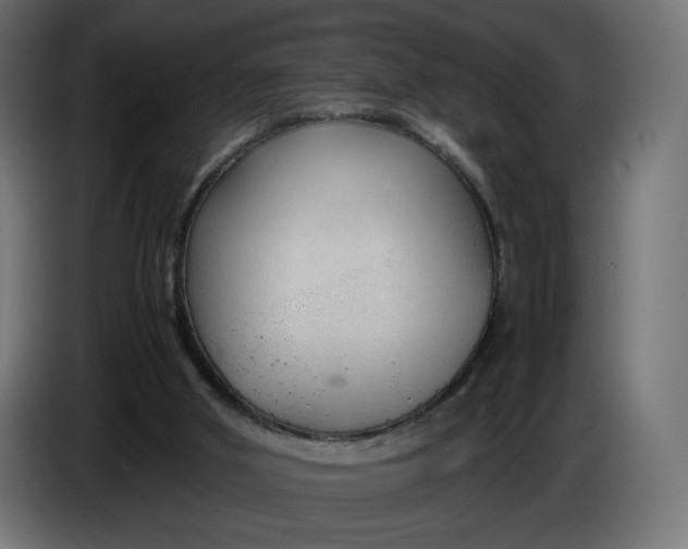 X0000086330010200704131731