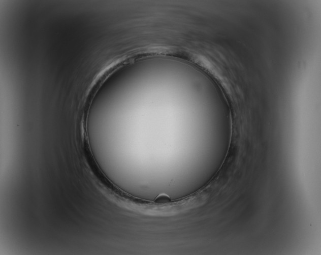 X0000086330011200704131731