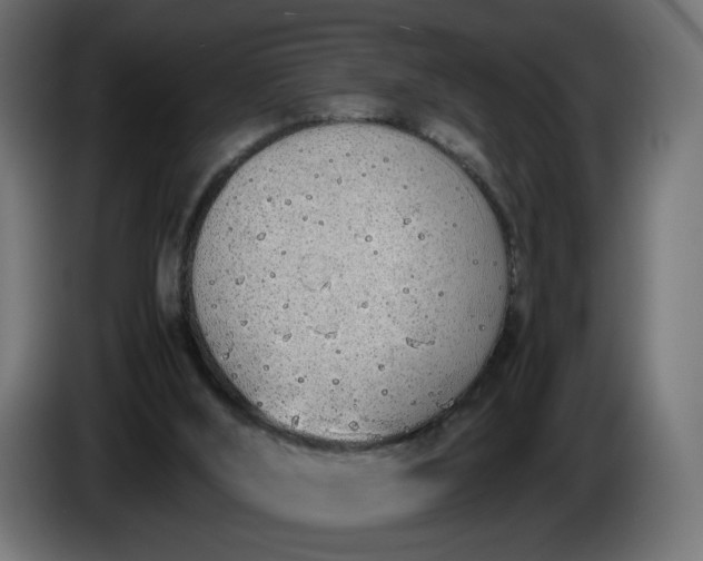 X0000086330012200704131731