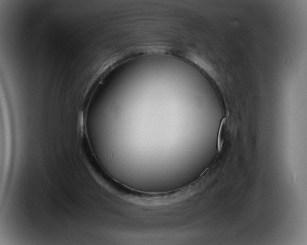 X0000086330013200704131731