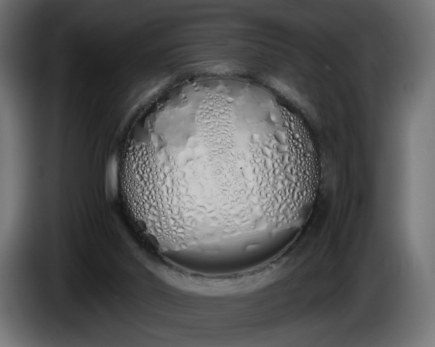 X0000086330014200704131731