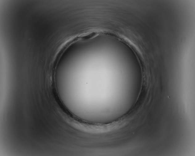 X0000086330015200704131731