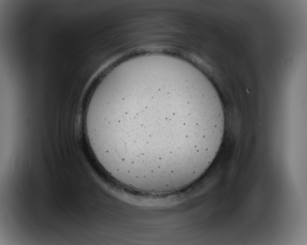 X0000086330016200704131731