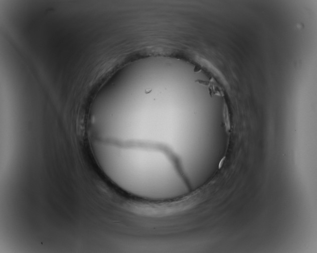 X0000086330017200704131731