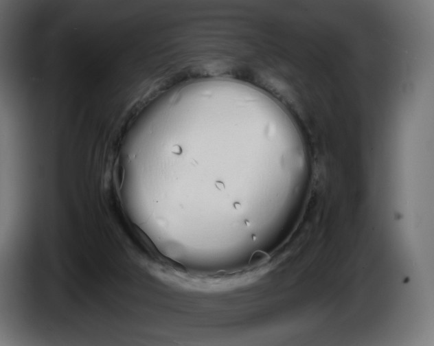 X0000086330018200704131731