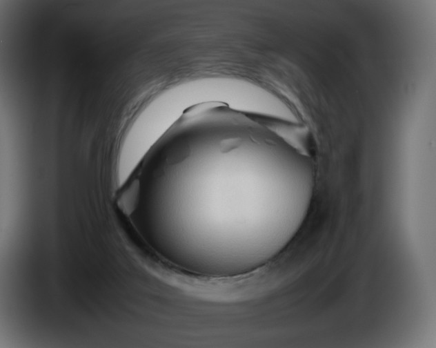 X0000086330019200704131731