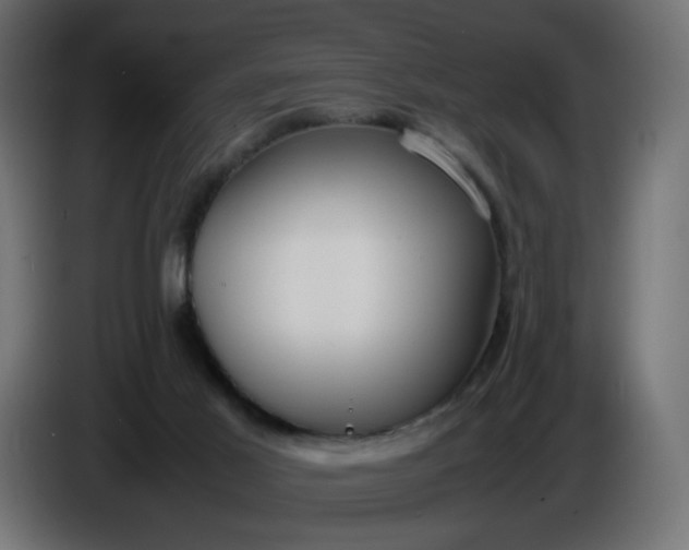 X0000086330021200704131731