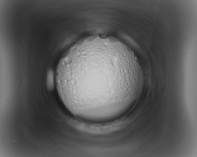 X0000086330022200704131731