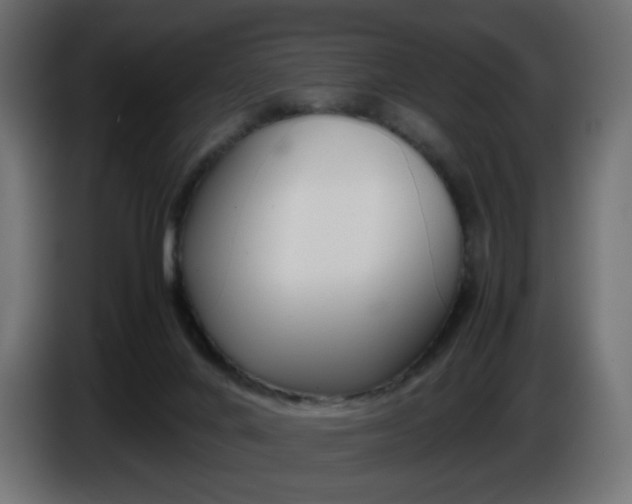 X0000086330024200704131731