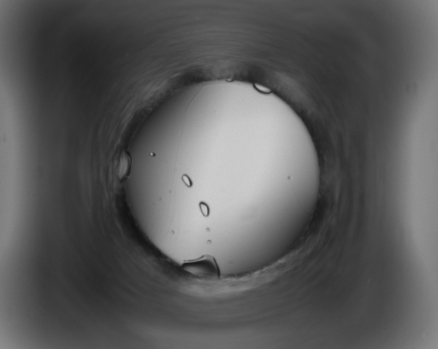 X0000086330025200704131731