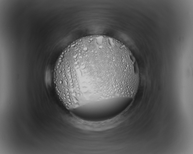 X0000086330026200704131731