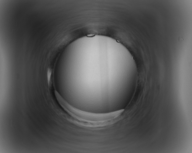 X0000086330027200704131731