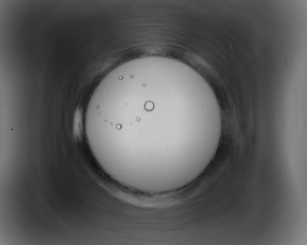 X0000086330028200704131731