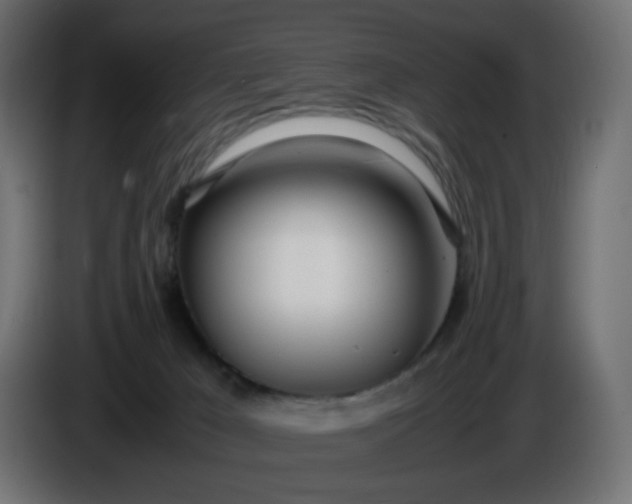 X0000086330029200704131731