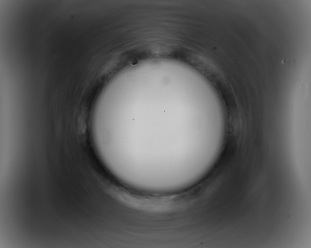 X0000086330032200704131731