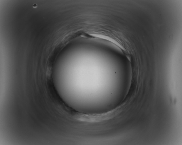 X0000086330033200704131731